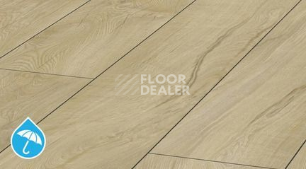 Ламинат Kronotex Mammut Plus d4668 Дуб Магнум Песчаный фото 1 | FLOORDEALER